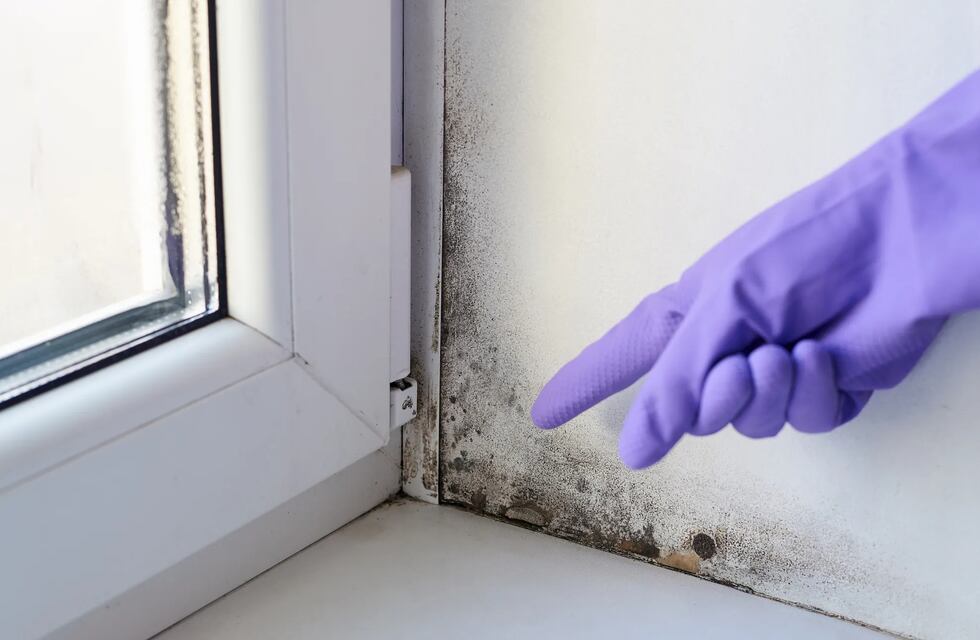 Chau humedad: eliminala de tu casa de forma definitiva con estos trucos