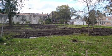 Paseo Mercado Municipal