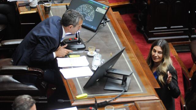 La diputada del PRO Silvia Lospennato junto a Martín Menem en la sesión por la "ley bases" (Foto: Federico López Claro)