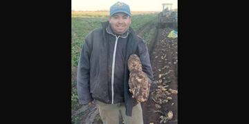 Una papa de casi dos kilos, en un campo de Los Cerrillos.