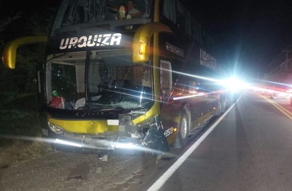 Colectivo impactó contra vaca en la Ruta 38 y causó un choque múltiple en Cosquín