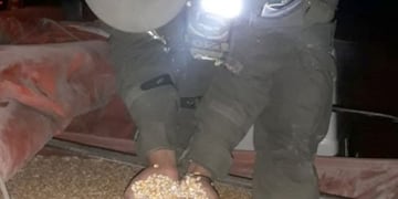 Efectivos de Gendarmería Nacional incautaron dos camiones cargados con maíz en el ingreso a Mendoza, con documentación ilegal.
