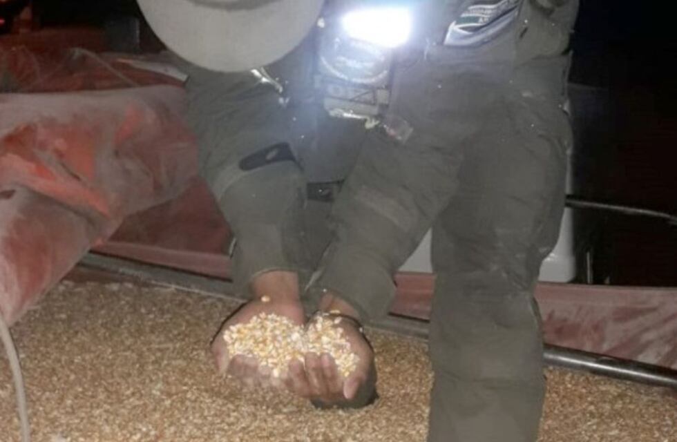 Intentaron ingresar 60 mil kilos de maíz desde Córdoba a Mendoza de forma ilegal