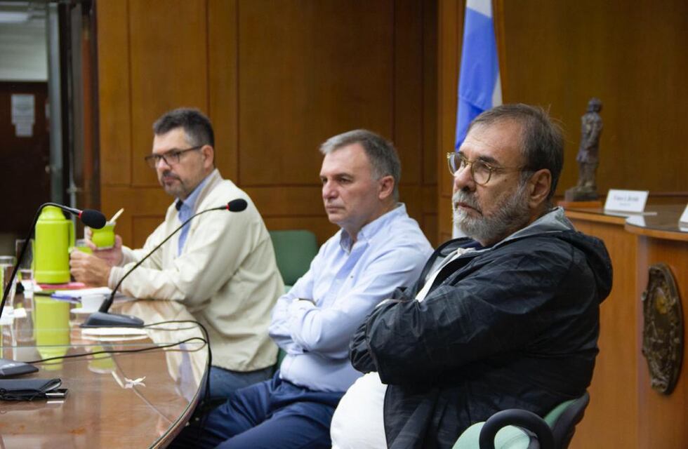 BZA quiere construir 4 torres con 40.000 metros cuadrados y pide reiterar una exención al Concejo