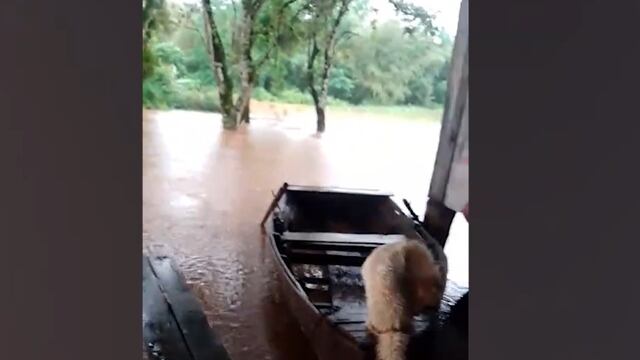 La crecida del río Paraná dejó bajo agua parte de una aldea guaraní en Puerto Leoni.