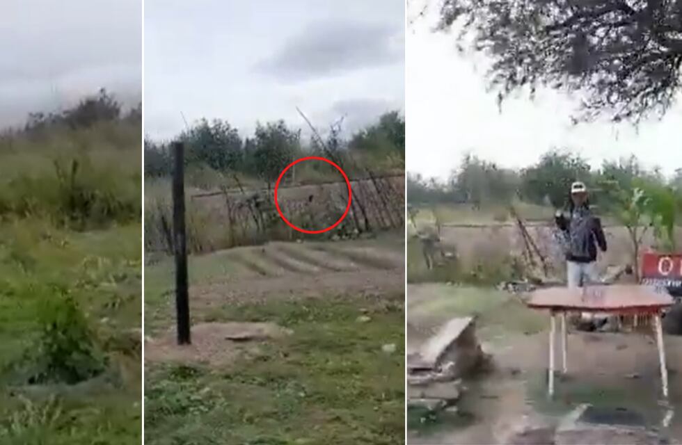 Creer o reventar: un usuario de TikTok asegura que filmó a El Duente corriendo por Salta