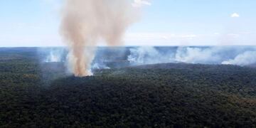 Incendios en Misiones: más de 250 hectáreas de la Reserva Natural Guaraní arrasadas por fuegos iniciados por cazadores furtivos.