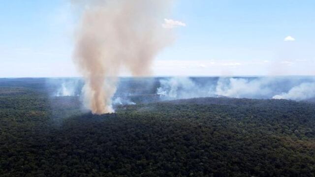 Incendios en Misiones: más de 250 hectáreas de la Reserva Natural Guaraní arrasadas por fuegos iniciados por cazadores furtivos.
