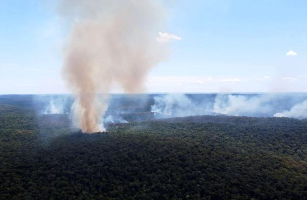 Incendios en Misiones: más de 250 hectáreas de la Reserva Natural Guaraní arrasadas por fuegos iniciados por cazadores furtivos