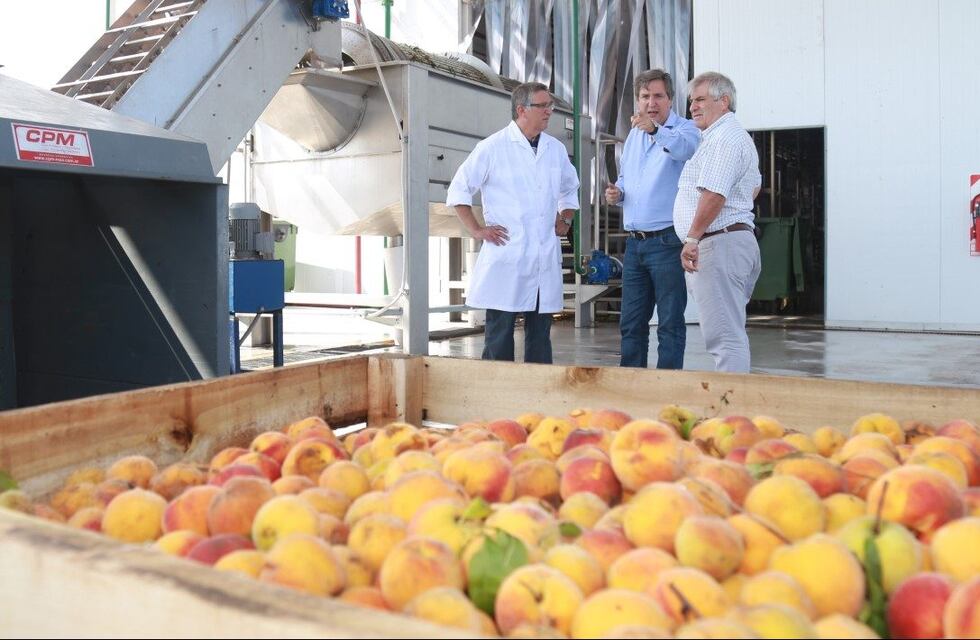 Emir Félix y el acuerdo con Brasil: “Es la venta más importante desde que se creó la pulpera”