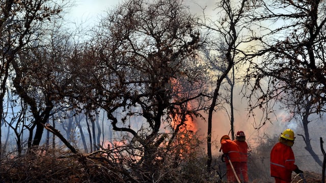 ID:4106792 incendio fuego bomberos voluntarios en la poblacion traslasierra fotos miguel ortiz  incendios forestales