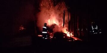 Puerto Leoni: incendio en un aserradero