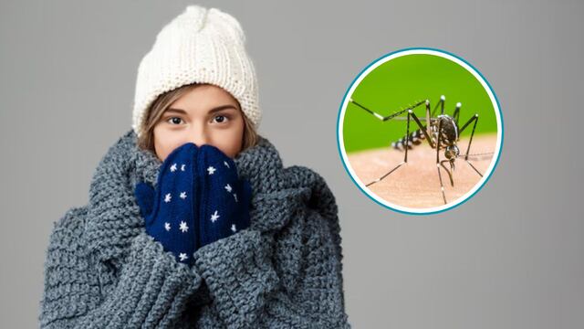 Dile adiós a las picaduras: conoce la temperatura que mata a los mosquitos.