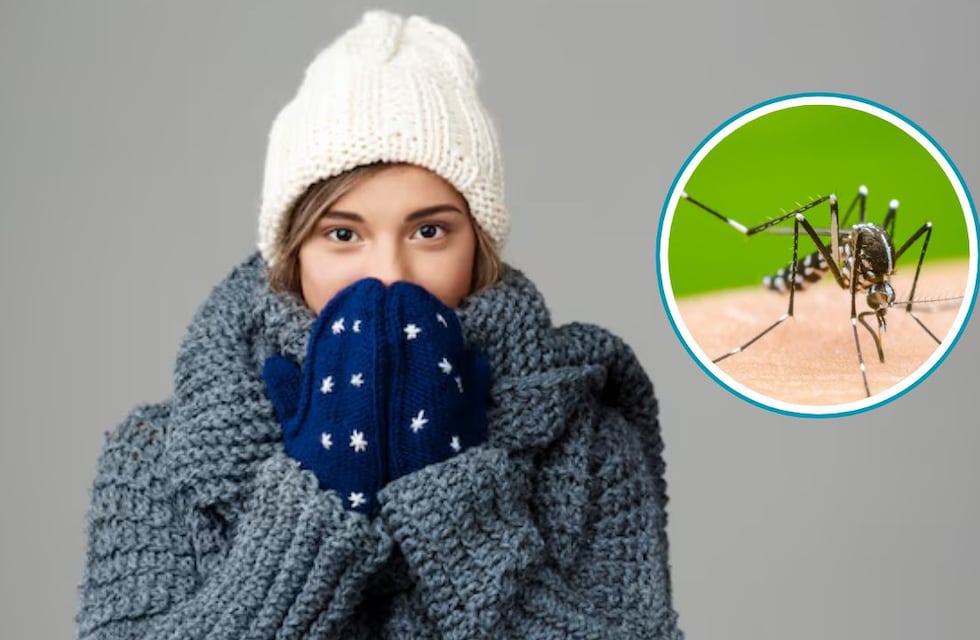 ¿A qué temperatura mueren los mosquitos?