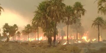 Denuncian incendios intencionales en el Parque Nacional Río Pilcomayo en Formosa.