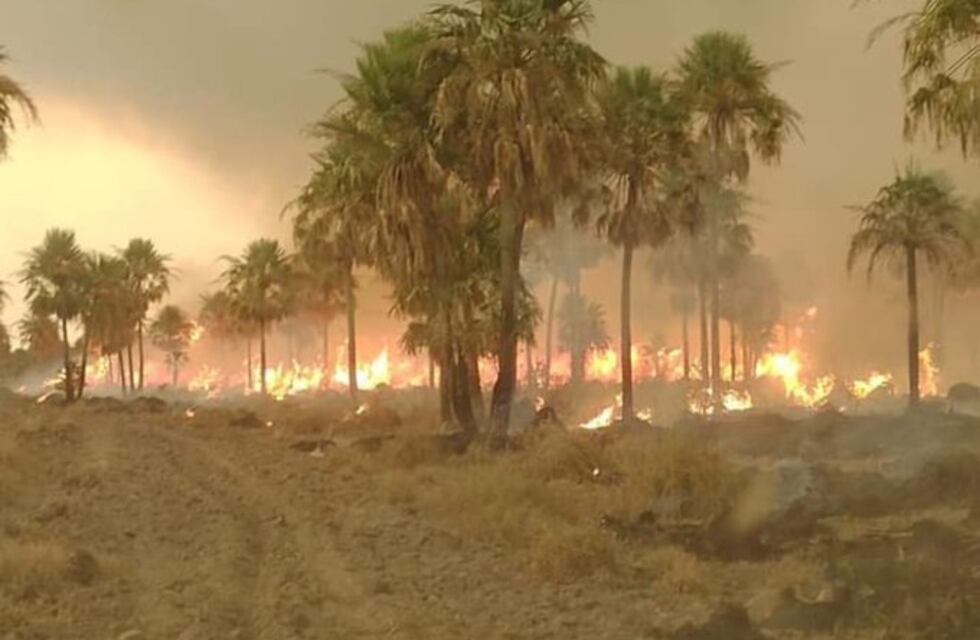 Formosa: denunciaron un incendio intencional en el Parque Nacional Río Pilcomayo