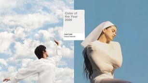 Color del 2026, Cloud Dancer.