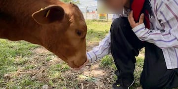 Faenaron un ternero de una escuela de Córdoba.