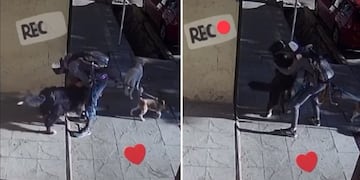 Rocco y su paseador Alan.