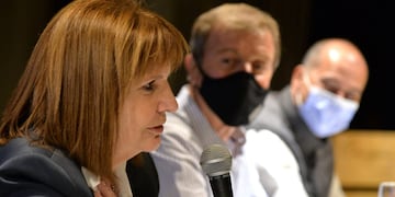 Patricia Bullrich habló del cruce con Sergio Maldonado (Twitter: @PatoBullrich).