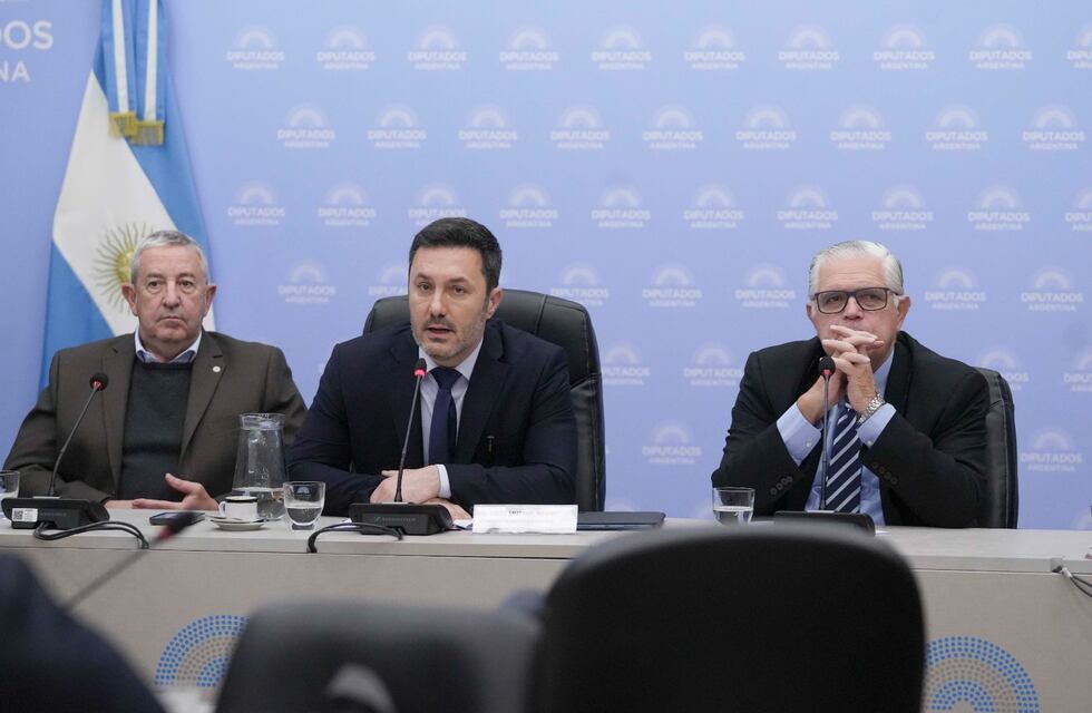 Diputados ya discute la ley para que las Fuerzas Armadas actúen contra actos de “terrorismo”