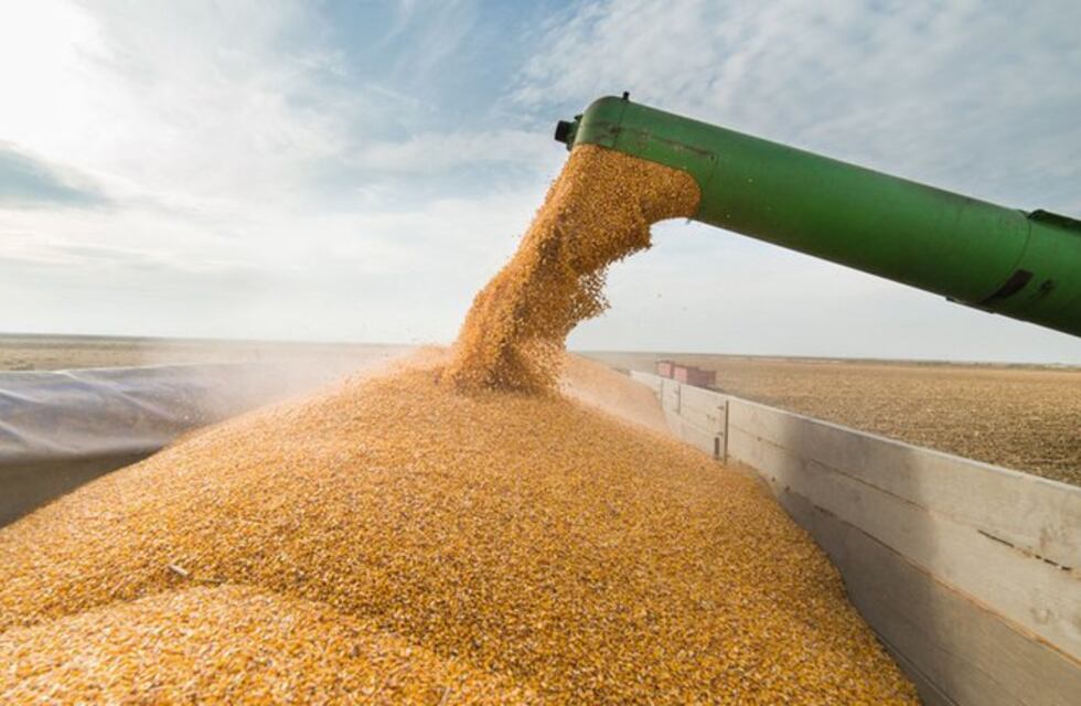 Baja actividad del mercado agricola