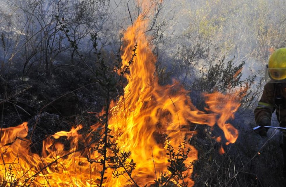 Controlan un incendio en La Jarillas