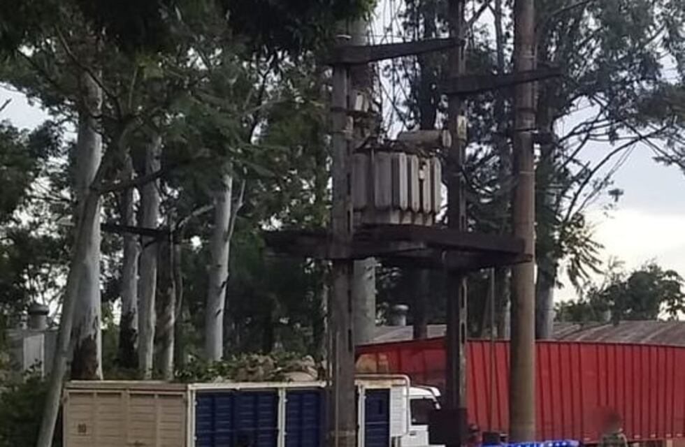 Recuperaron yerba robada en Puerto Leoni y  Eldorado