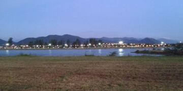 Gran variedad de anfibios encontrados en el Parque del Bicentenario de Salta.