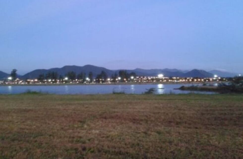 Escucha y avistaje de sapos en el Parque del Bicentenario