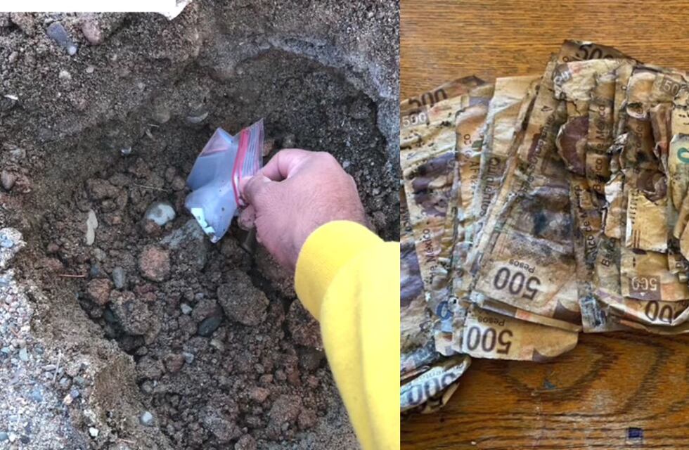Video: perdió todos sus ahorros luego de esconderlos bajo tierra húmeda