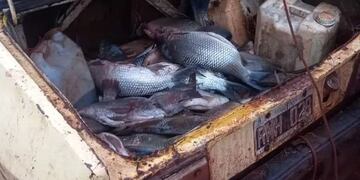 Detectan pescadores furtivos en el Parque Provincial Uruguaí.
