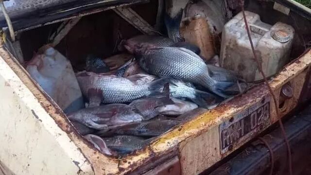Detectan pescadores furtivos en el Parque Provincial Uruguaí.