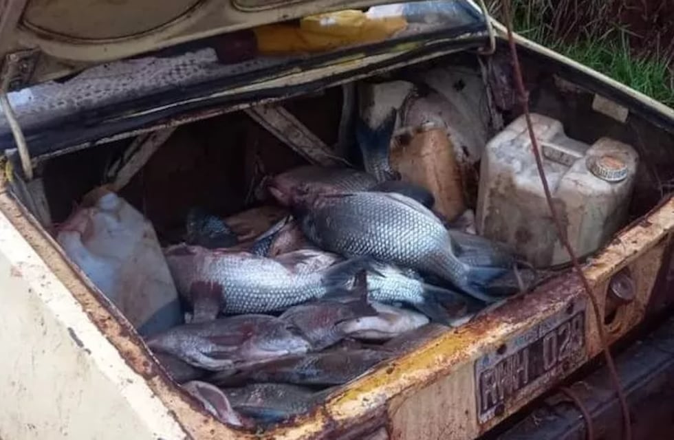 Detectan pescadores furtivos en el Parque Provincial Uruguaí