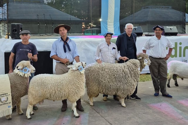 Muestra ovina - Urdinarrain