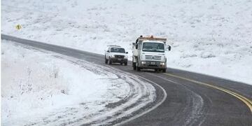 Un hombre se encontró con estos espectaculares animales en la ruta en Santa Cruz.