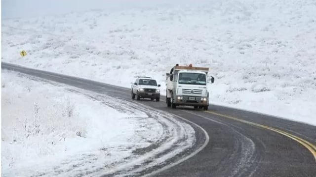 Un hombre se encontró con estos espectaculares animales en la ruta en Santa Cruz.