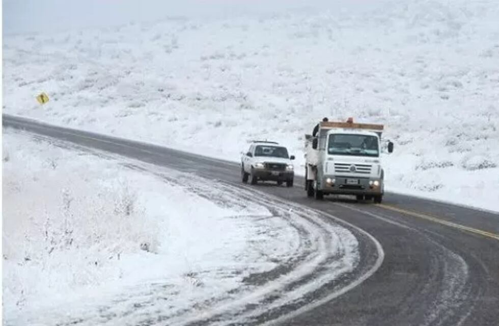 Video viral: iba por la ruta nevada en Santa Cruz y se encontró con un majestuoso animal y sus cachorros