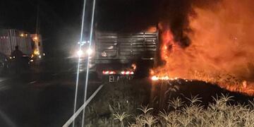 El incendio de un camión jaula en Córdoba dejó el saldo de más de 20 vacas muertas (Policía)
