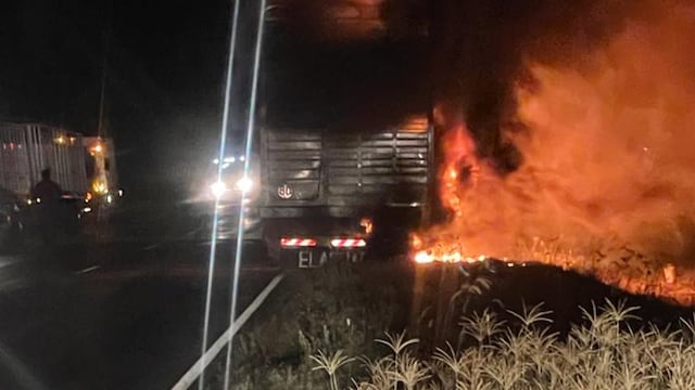 El incendio de un camión jaula en Córdoba dejó el saldo de más de 20 vacas muertas (Policía)