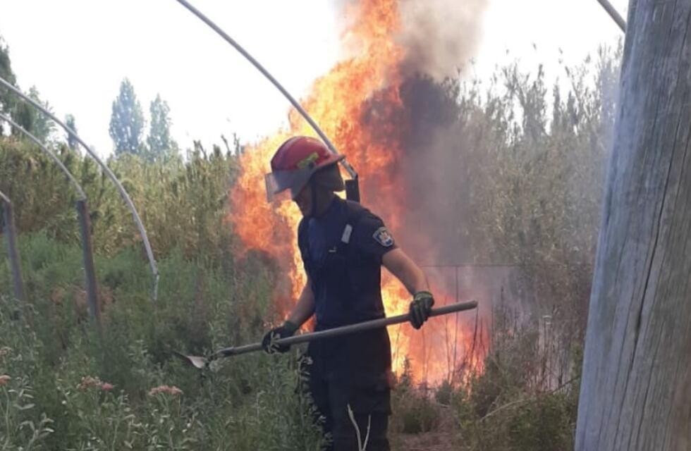 Bomberos controlan un incendio que afectó un campo en Maipú