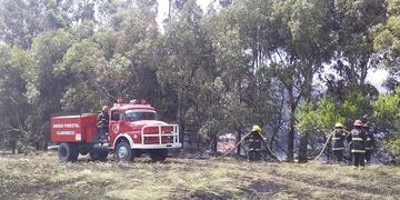 Un incendio fue controlado por los bomberos en el ingreso a Claromecó