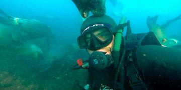 El encuentro entre Raúl y los animales marinos.