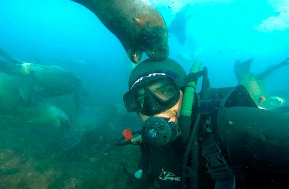 Se tiró al mar y tuvo un encuentro muy cariñoso con los lobos marinos de Puerto Madryn