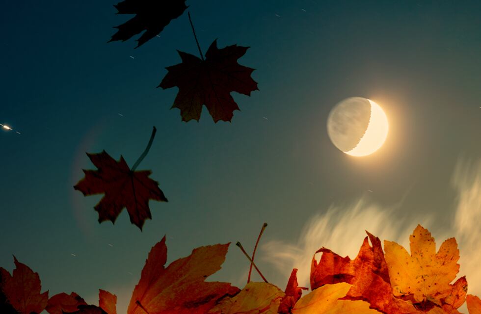 Equinoccio de marzo: ¿por qué es un momento clave para hacer los cambios que tenías pendientes?