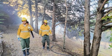 Intensifican acciones para prevenir incendios.