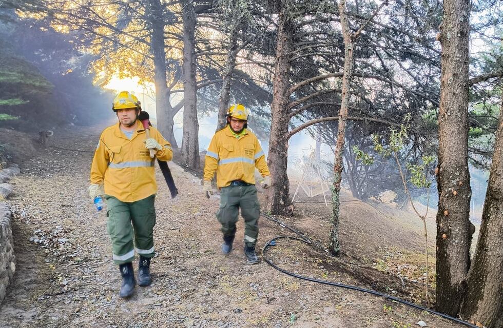 Refuerzan medidas para prevenir incendios en la provincia
