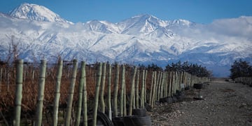 Mendoza es uno de los 100 mejores lugares del mundo para visitar según la revista TIME.