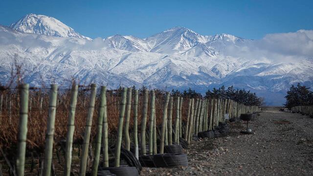 Mendoza es uno de los 100 mejores lugares del mundo para visitar según la revista TIME.