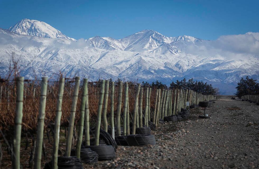 Mendoza entre los 100 mejores lugares del mundo según la revista Time